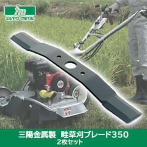 RM-009